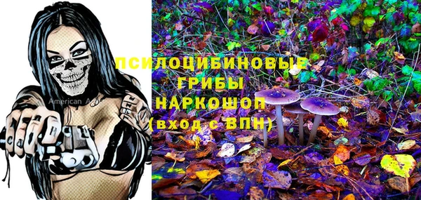 мяу мяу мука Иннополис