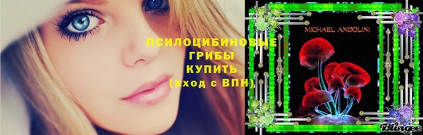герыч Зеленодольск