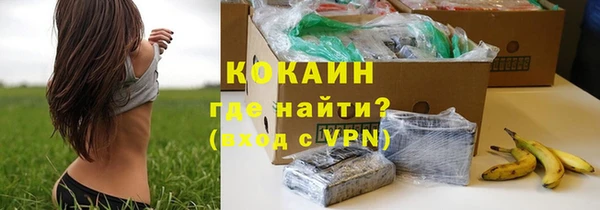 мяу мяу мука Иннополис