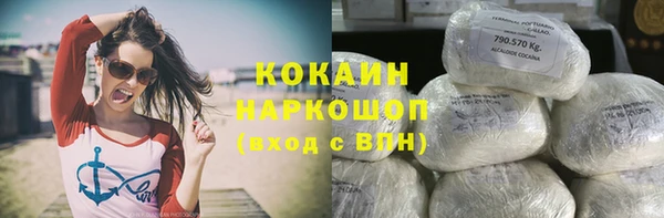 трава Инта