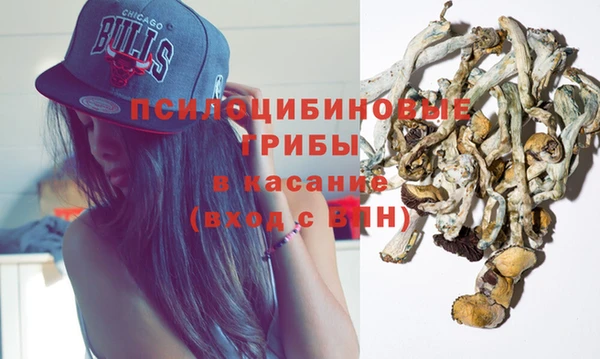 мдпв Зеленокумск