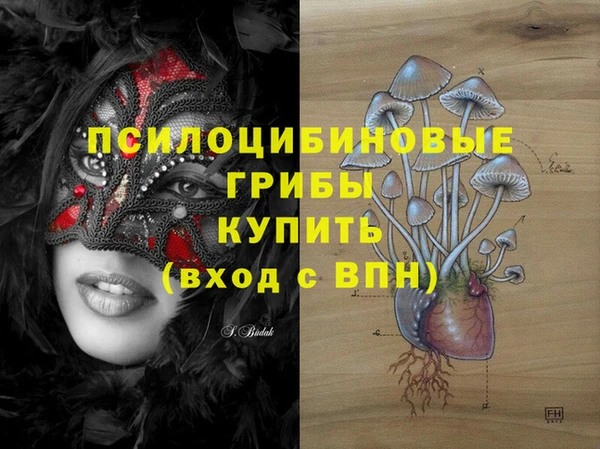 герыч Зеленодольск