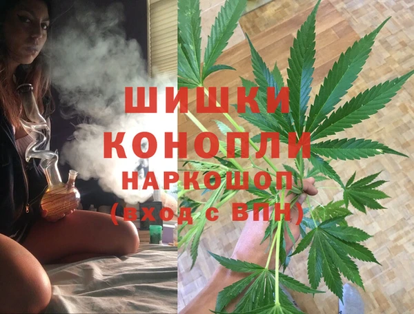 трава Инта